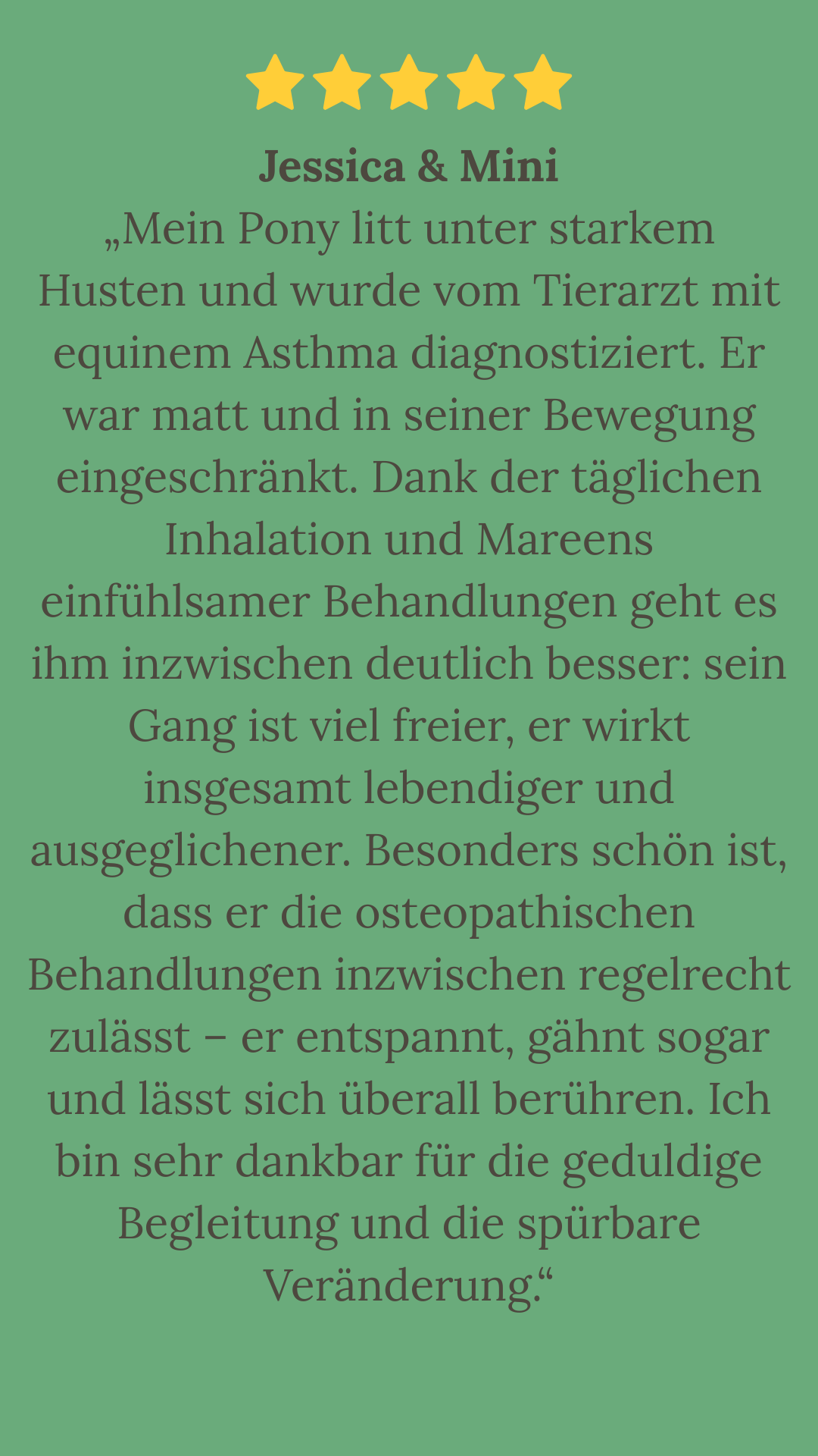 Mein Pony litt unter starkem Husten und wurde vom Tierarzt mit equinem Asthma diagnostiziert. Er war matt und in seiner Bewegung eingeschrä